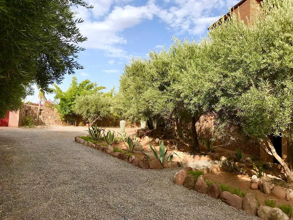 Villa Malika Marrakech Μαρακές